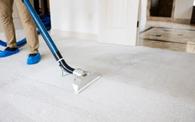 Carpet Cleaning 101: Understanding When Your Carpets Are Truly Clean